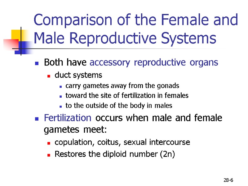 28-6 Comparison of the Female and Male Reproductive Systems Both have accessory reproductive organs